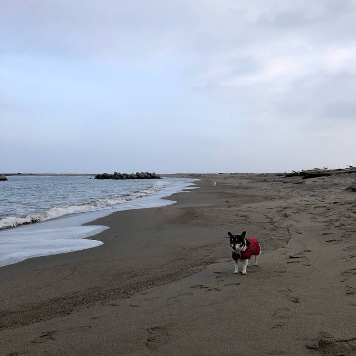 2c29b170 4935 4f27 b658 a1f582ee1ca1 1581724626059