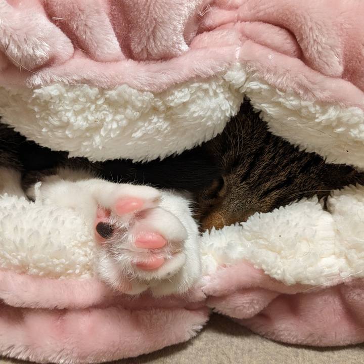 2c29c20c b6d0 4524 be53 d2801394566c 1701693167027