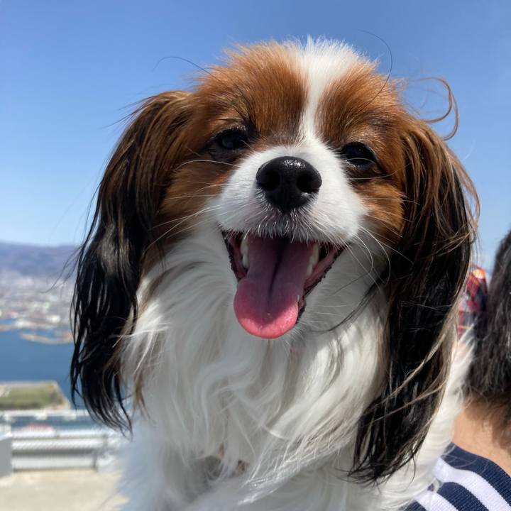 2c2a0382 624a 4385 9be0 6fbefdb2bdab 1650777829669