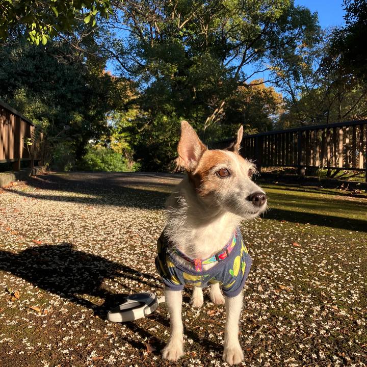 2c2a2857 cdbb 46b2 8880 830a995201dc 1698881177598