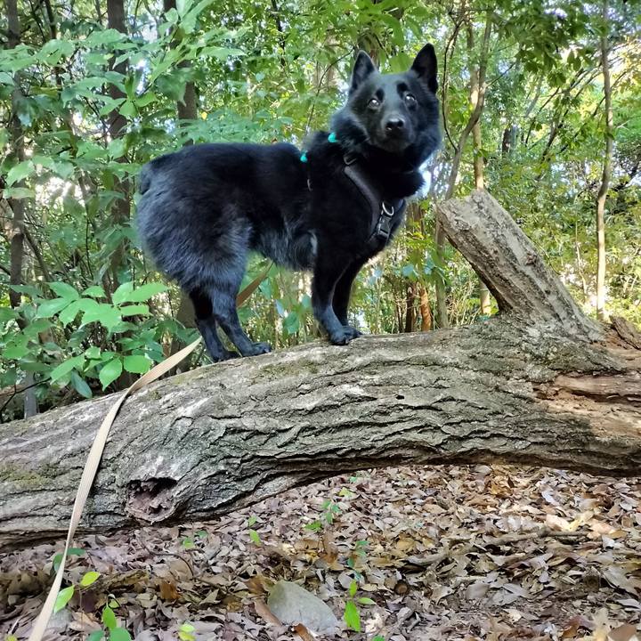 2c2a2975 71f9 4a6d a0dc 2f8a1d1c770f 1698536645824