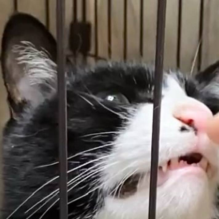 2c2a4950 beed 4148 b5d4 219d09bdf337 1741224307767