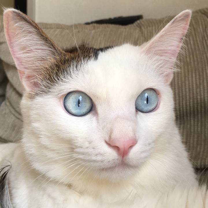 2c2a5cea 9e3f 4bb8 aa26 85f4302186a4 1523065761974