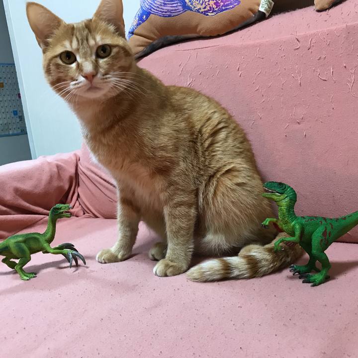 2c2aa62e b114 4491 82a0 9afd86bce7fd 1519997789952