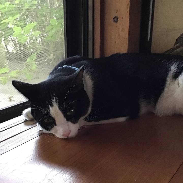 2c2aab03 75ec 411e bf43 df6f903e41e7 1660130225517