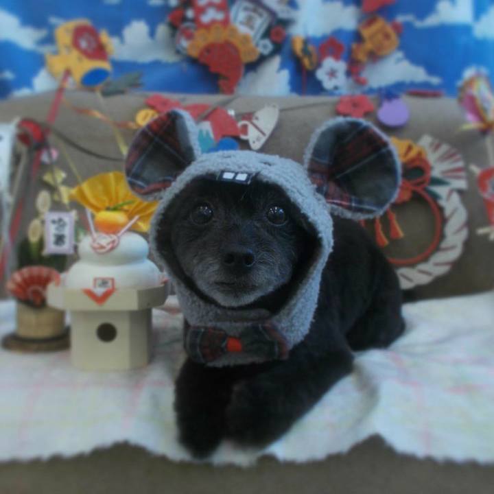 2c2b10a3 9961 41f9 a1c2 d9b812b6b03d 1577833830858