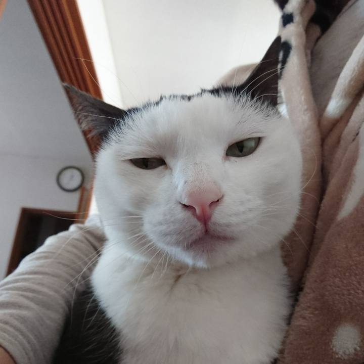 2c2b2cb4 de84 4dd6 9a1b 7f9f175b4fae 1520691974944