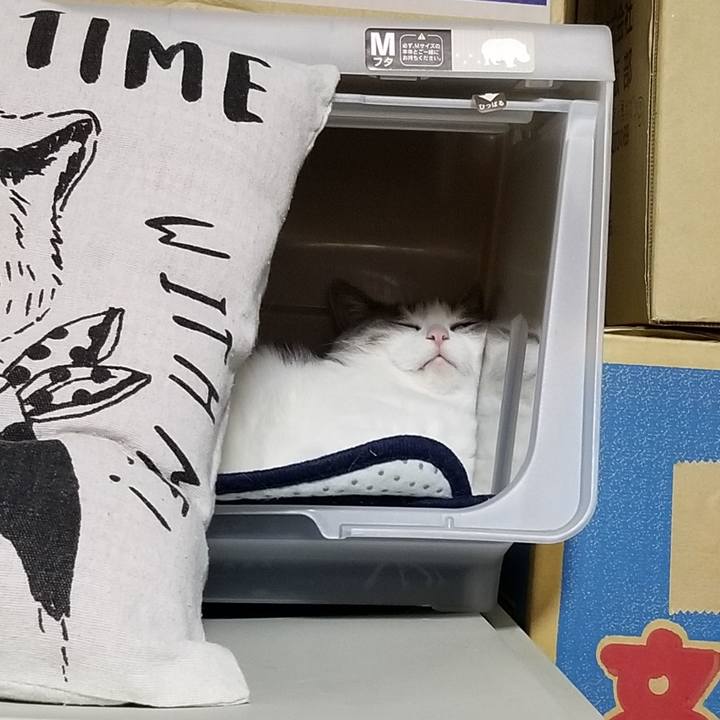 2c2bb172 e2d8 4141 9f62 3895ca7dd64a 1624173536564