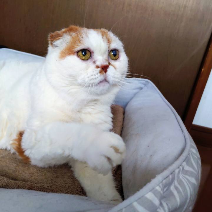 2c2bb40e b498 4968 b83d 584fc9e8e13b 1773651710800