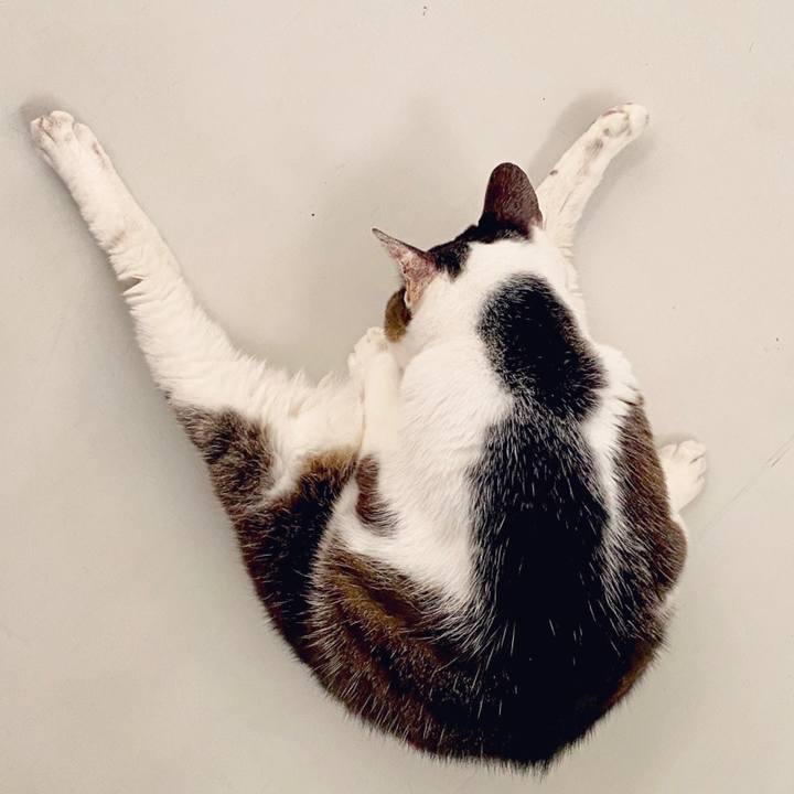 2c2be1d0 0b47 4492 adaa 6b1a07a89cd6 1595751217414