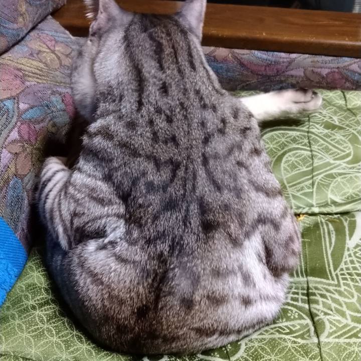 2c2bebfc 4879 4cf4 ab66 ce22a020e7e7 1638790459255