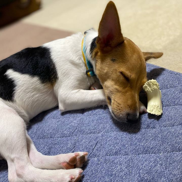 2c2c3030 ba71 40f1 9c10 1e78007e681b 1757709367812