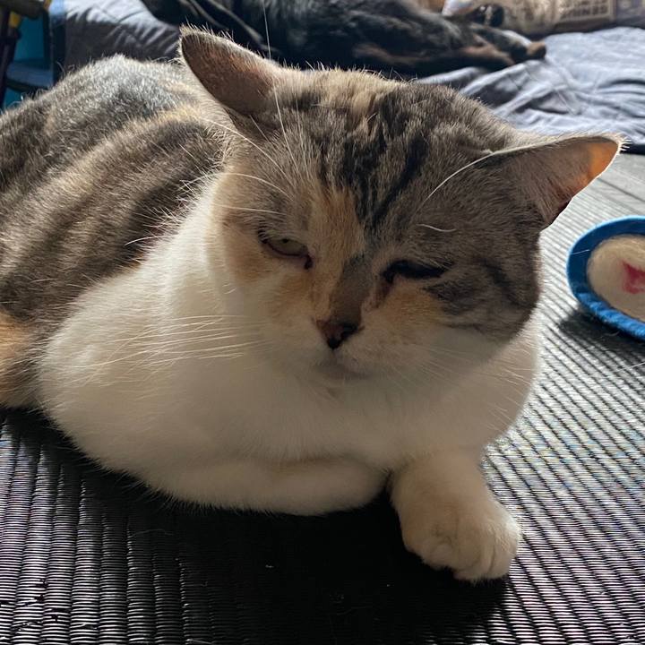 2c2c4ce1 6ad6 45db 95e1 a2cbc2fd7ed7 1589588747650