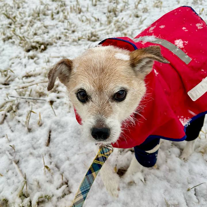 2c2c9b07 1bed 4187 8f4a fb8c95958489 1709853306908