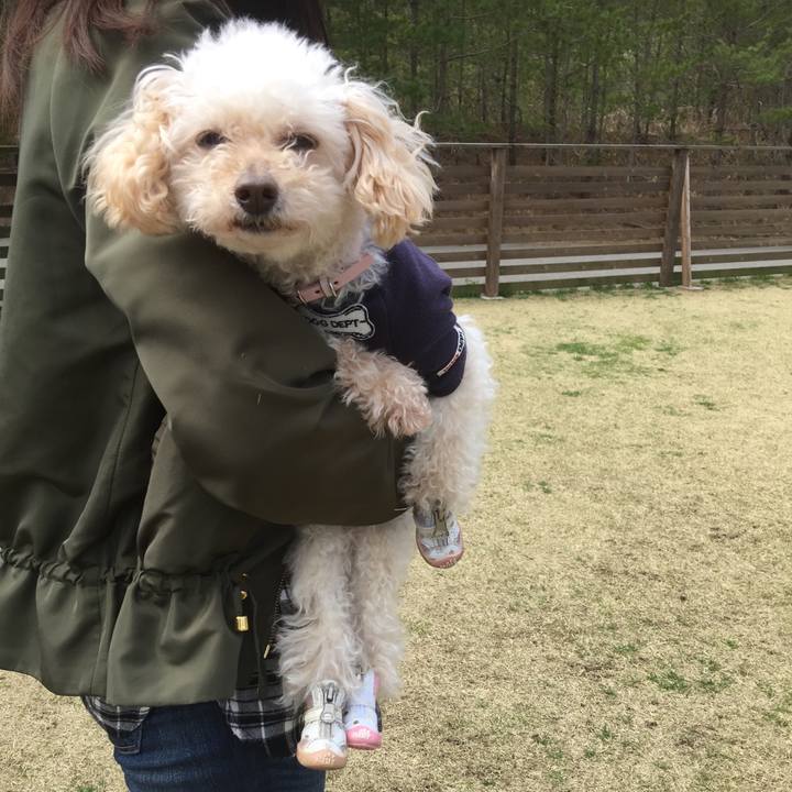 2c2ca6a9 8077 4676 a619 75ca2372a15b 1554618129056