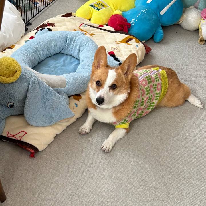 2c2ca8ea 53ec 4a05 b72f b029bcf7d7b3 1769671431906