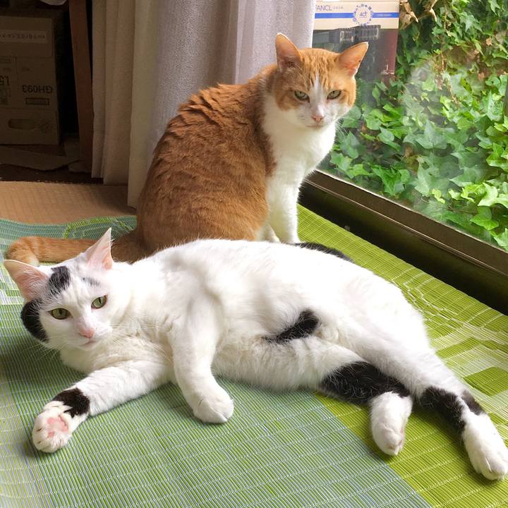 2c2cd67f 4dc0 4955 a28d edf3c89b984c 1592643476145