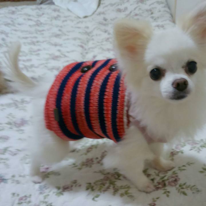 2c2d198a 8605 4714 aa91 e835fae72d48 1508838287927