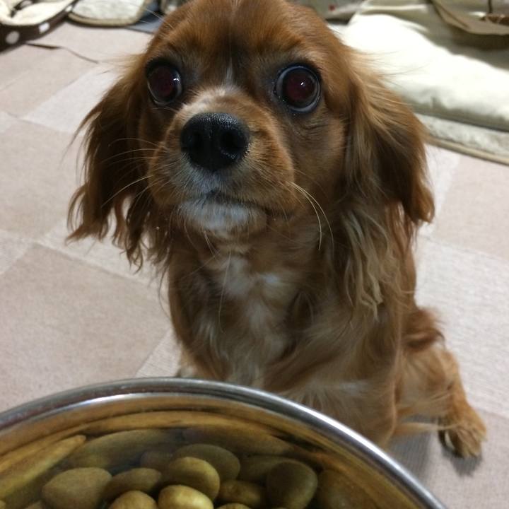 2c2d2c64 afa0 4404 8f63 34938b545fe9 1510747062761