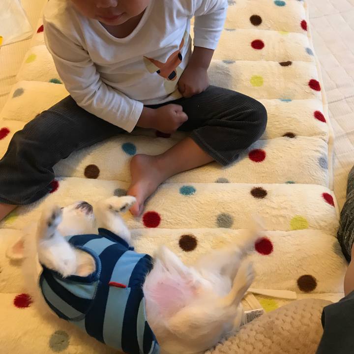 2c2d4c46 a13b 4860 a5d1 217bf5249be2 1508405981892