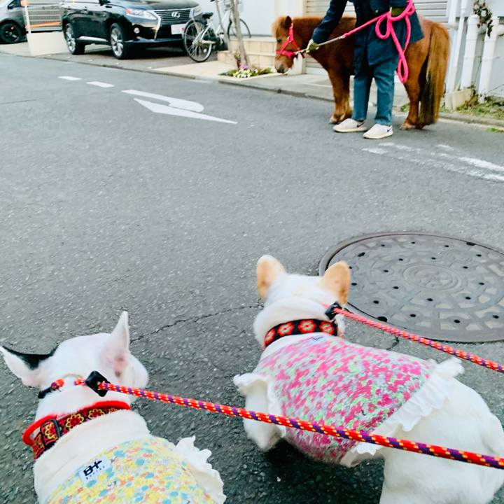 2c2d7908 0715 4572 a728 5dffb2c63f3a 1612963417477