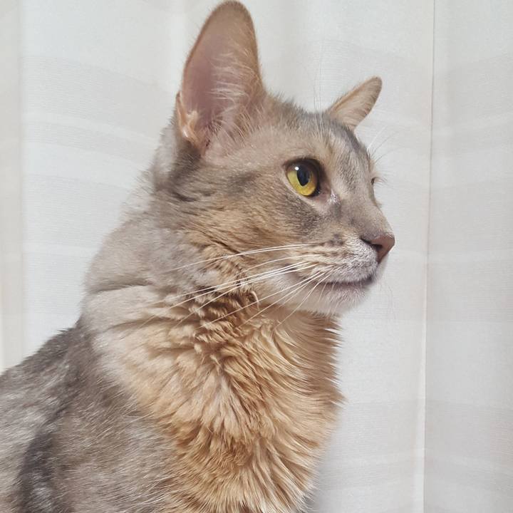 2c2da69d 5b46 45ba 93db 6785e7036264 1576070592979