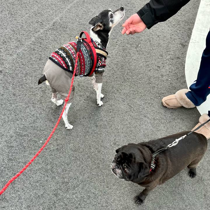 2c2e1f2e 55dc 4e1a b55b cdcb9f6dd686 1648590632029