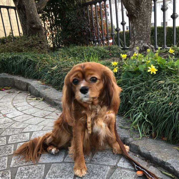 2c2e3139 cfac 4f63 bf57 6f8c7226f827 1614472731389