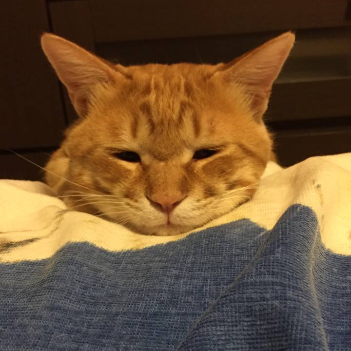 2c2e6280 d7a5 4b42 8520 26d1c31b4d9f 1528879477861