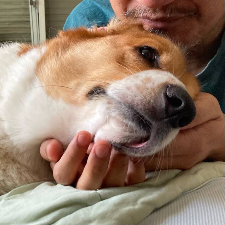 2c2ea6a2 1f8a 4ebc 8c07 3755dbcaaab0 1658797820731