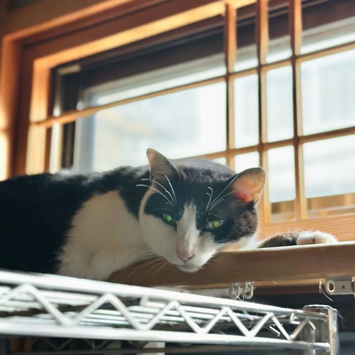 2c2eaa5f 8197 4c6f 929d 9bc1368d557c 1721950199887