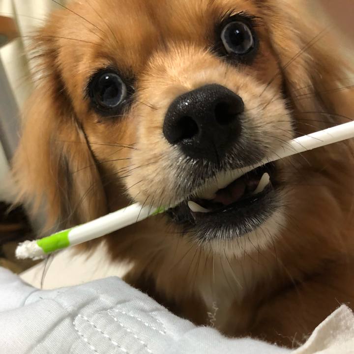 2c2eb282 044b 4e18 9bad c3e2ccef5de7 1510988428130