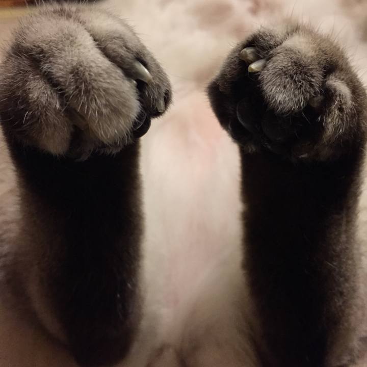 2c2eb7b2 78f5 460c 945f 942e3af9ba90 1543841425759