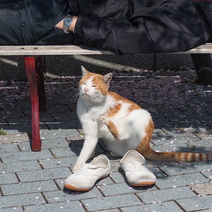 2c2ee98e 0b84 475e b238 7d7d318f202b 1554742821154