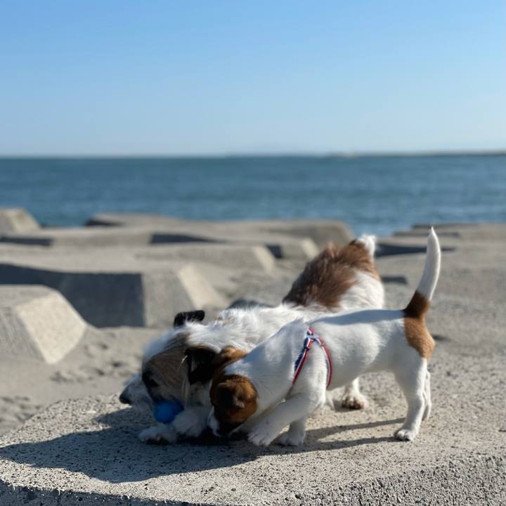 2c2f3d83 e904 4325 81ea 9edd44dbcde0 1618102168263