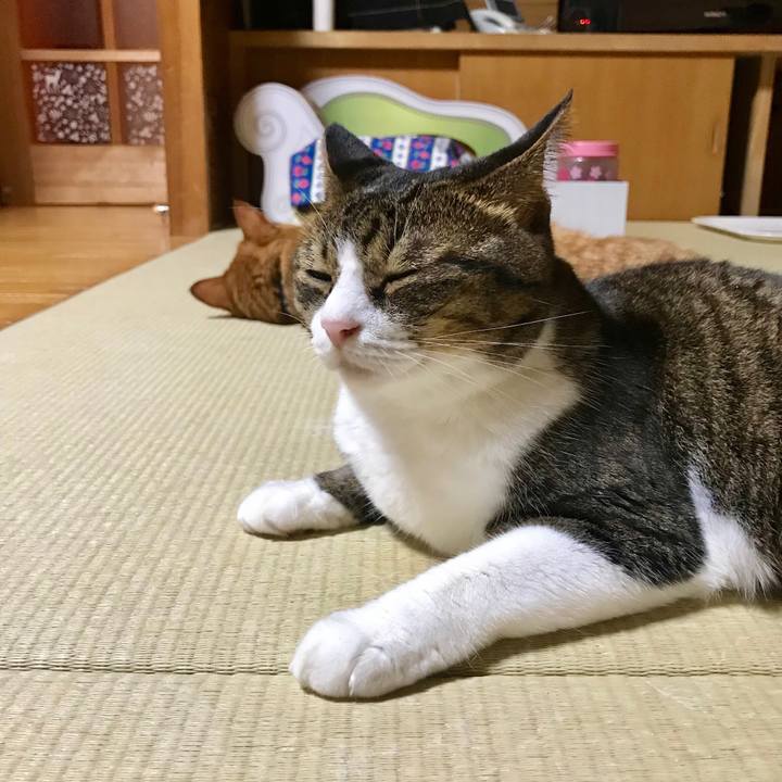 2c2f5d84 3864 4102 9a71 6f804ff21069 1537452476508