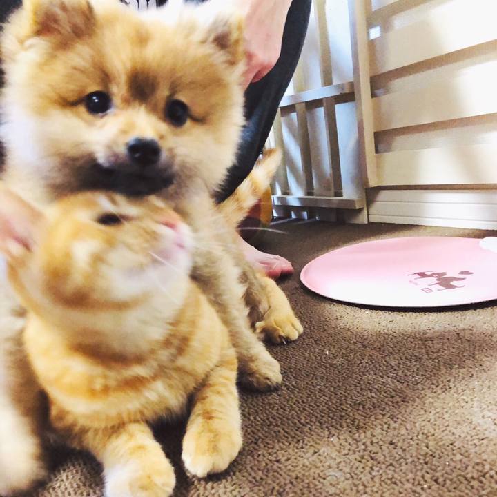 2c2f9bfb 7590 4d78 9289 30307827ddd9 1574258270798