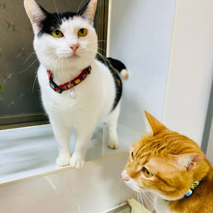 2c2f9d93 f699 4285 a5f0 fe92a122cfb9 1669117630673