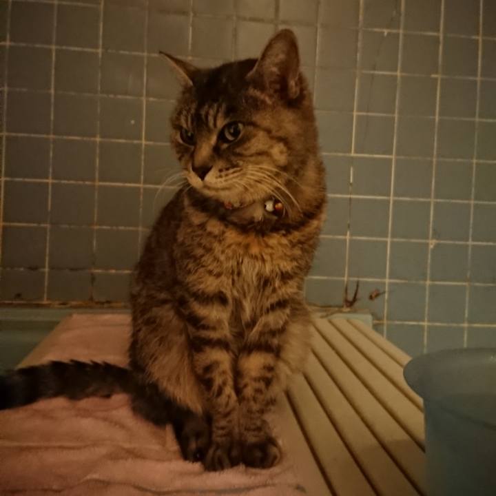 2c2fb306 50da 4e12 84df 7ab6107f4da2 1578389538275