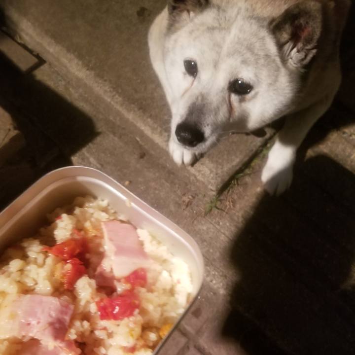 2c300080 f35a 4391 a09e 9f8d250bb568 1681999080718