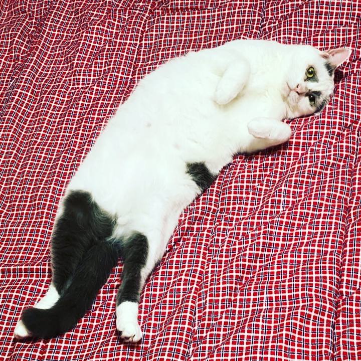 2c3024dc 21ae 423a b909 16384ad2ca8c 1626613997145