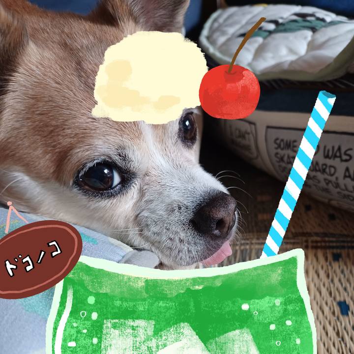 2c3034f9 ed73 43b5 a502 84bcaf2a73e2 1755050583744