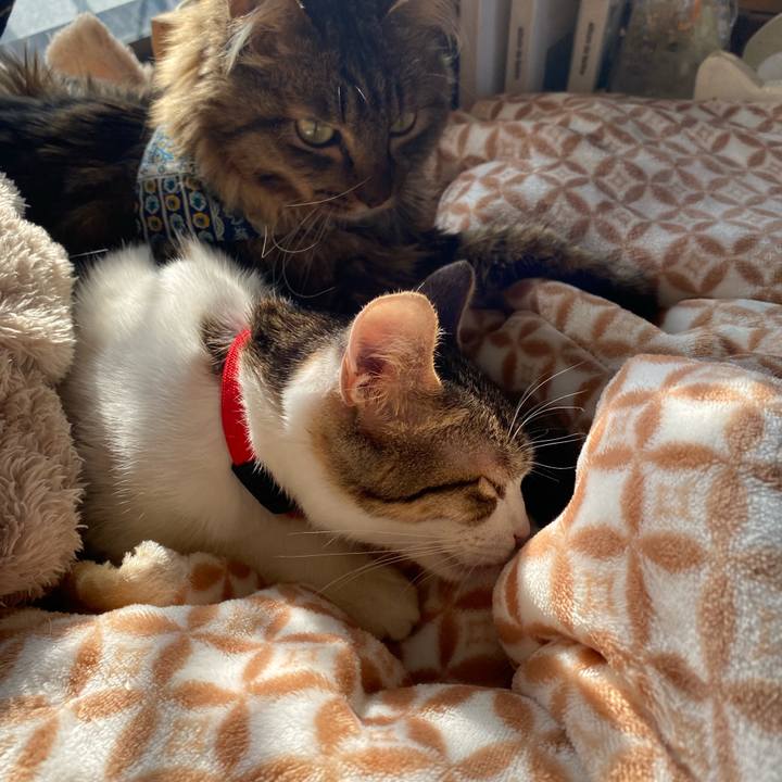 2c3050a7 f1ee 4ff5 9e55 7767d19fc1bb 1704346226056