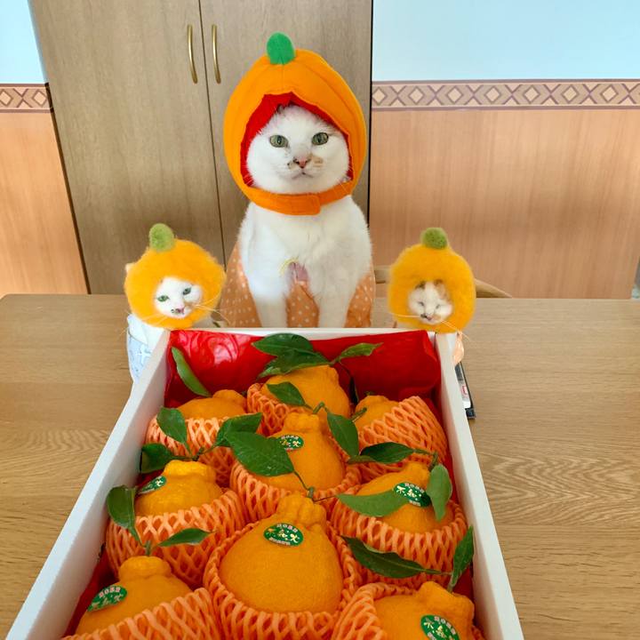 2c30569d f6de 4d43 98dc 80fa3d107582 1547859547775