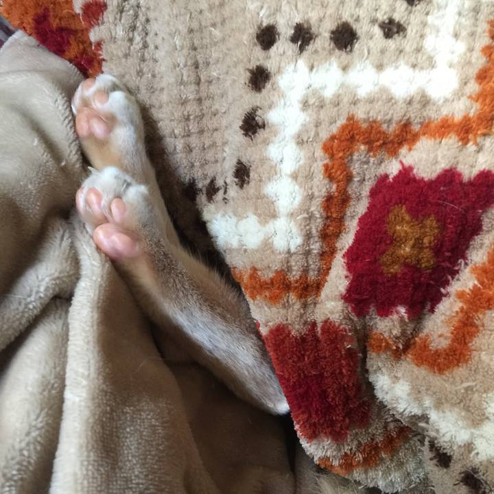 2c307d1a 0e7a 4b68 8136 cf5326d49384 1508200750969