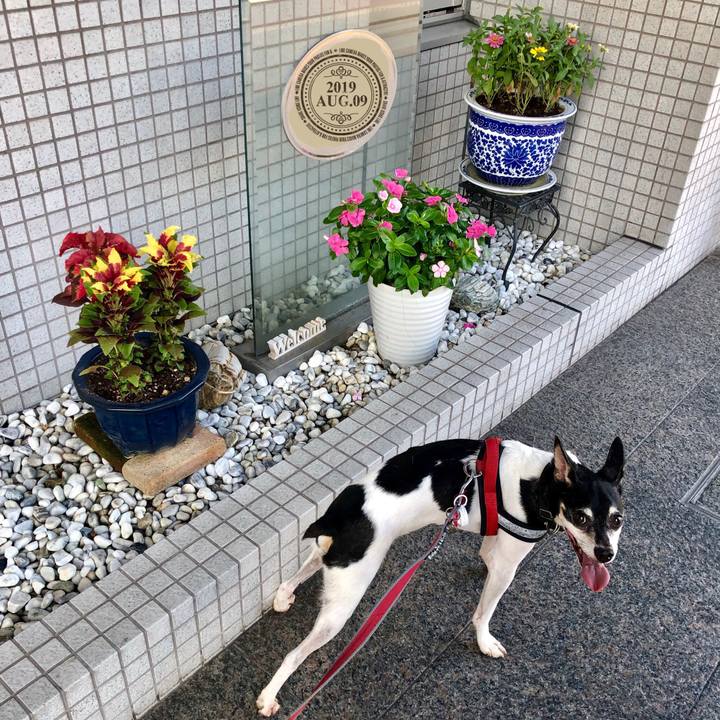 2c308d14 503c 49a6 badc c3383479b80d 1565351357007