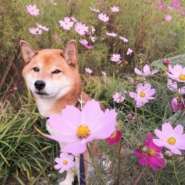 2c30d8b3 8454 4a7f a482 c1bea714a10f 1603261400222