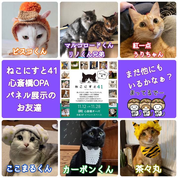 2c30ef2b acde 413b 962e 8b9bae48c584 1634987624853