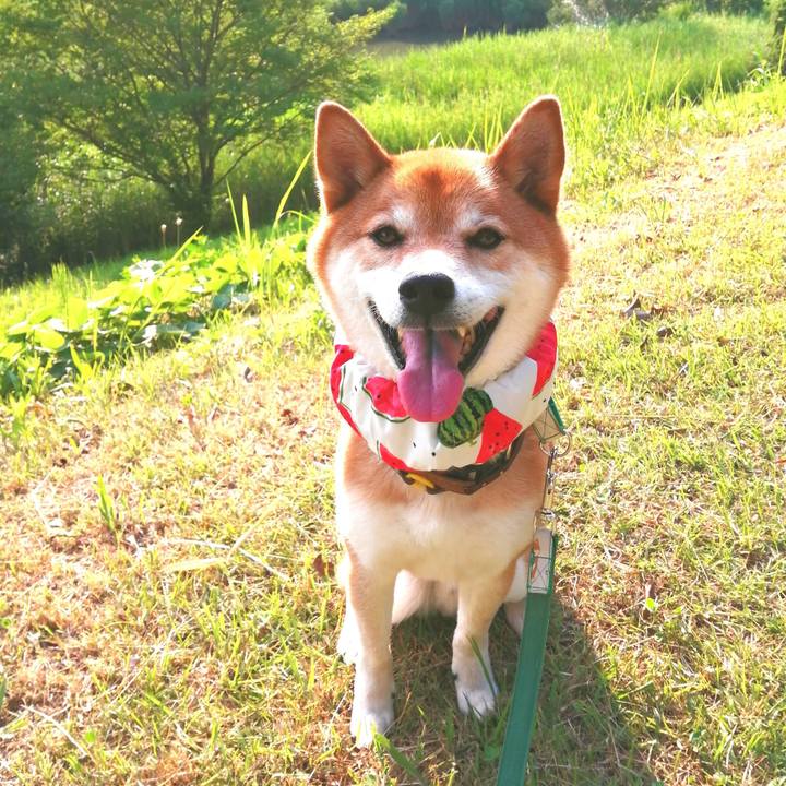 2c30ef56 3783 4ea7 b1f9 0a4b61dc17c7 1656750233688