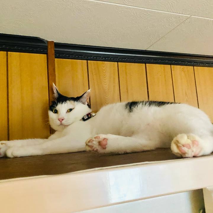 2c3109d4 b6b7 4465 b7f9 697037321fb6 1660169093947